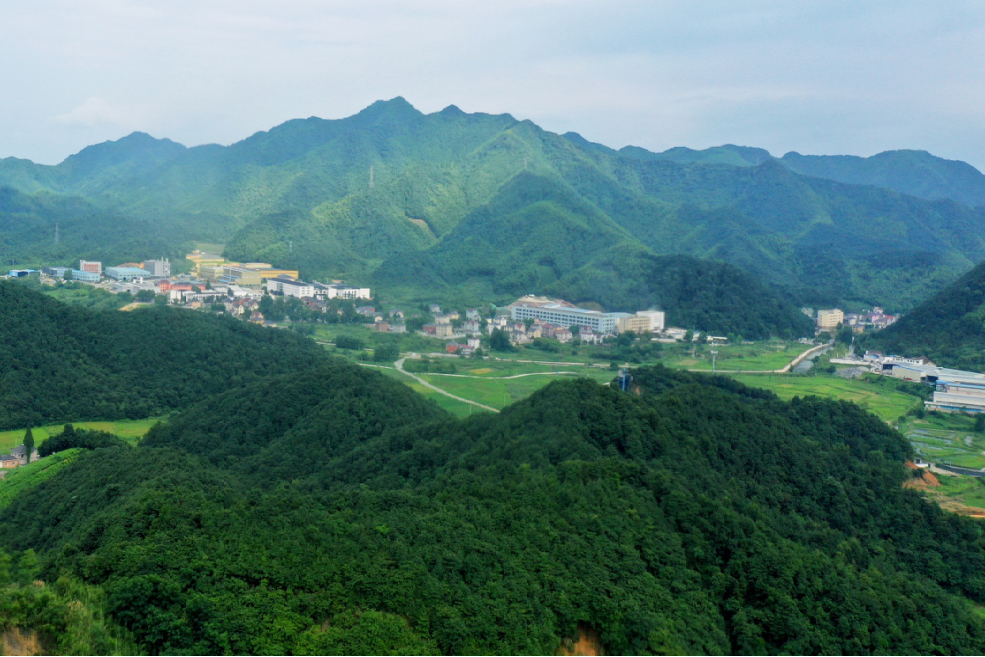 西岩山(杭州市富陽區景點)