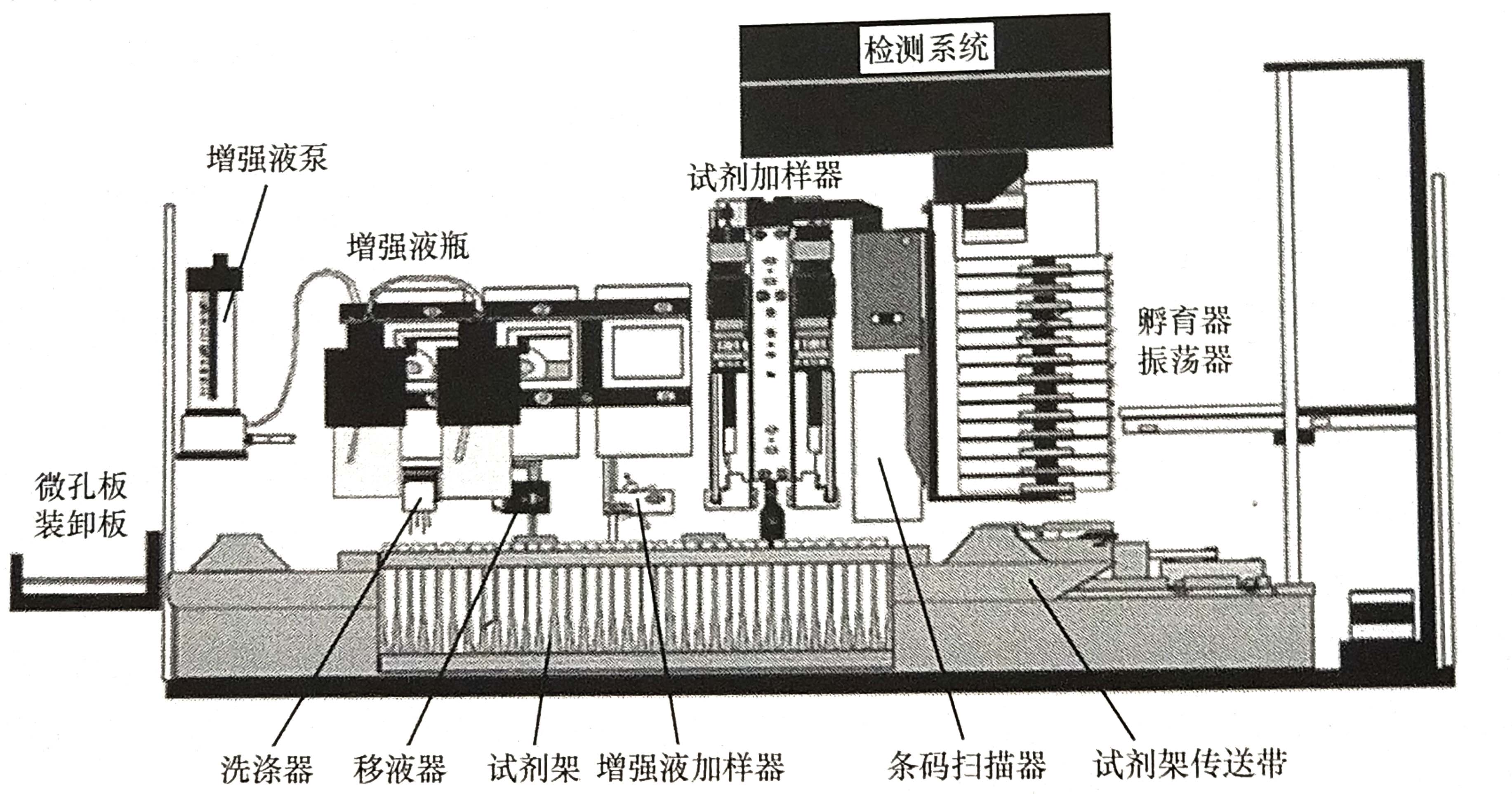 圖3 微孔板處理器