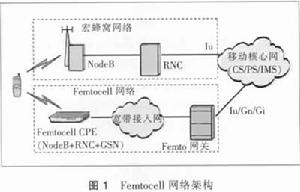 柔性網路架構