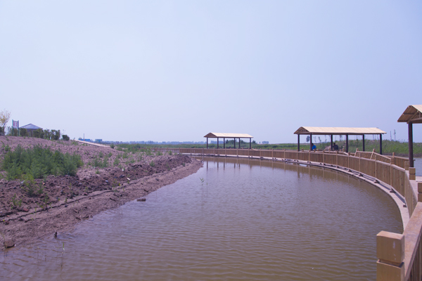 四女寺濕地公園風景區