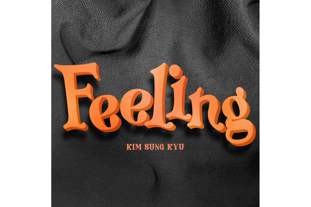 feeling(2024年金聖圭演唱歌曲)