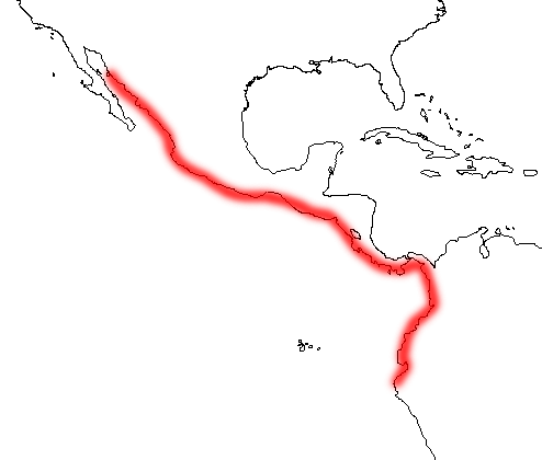 大西洋高背招潮蟹(活動海域圖)