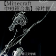 【Minecraft中短篇合集】碎片匣