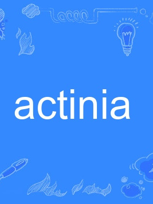 actinia