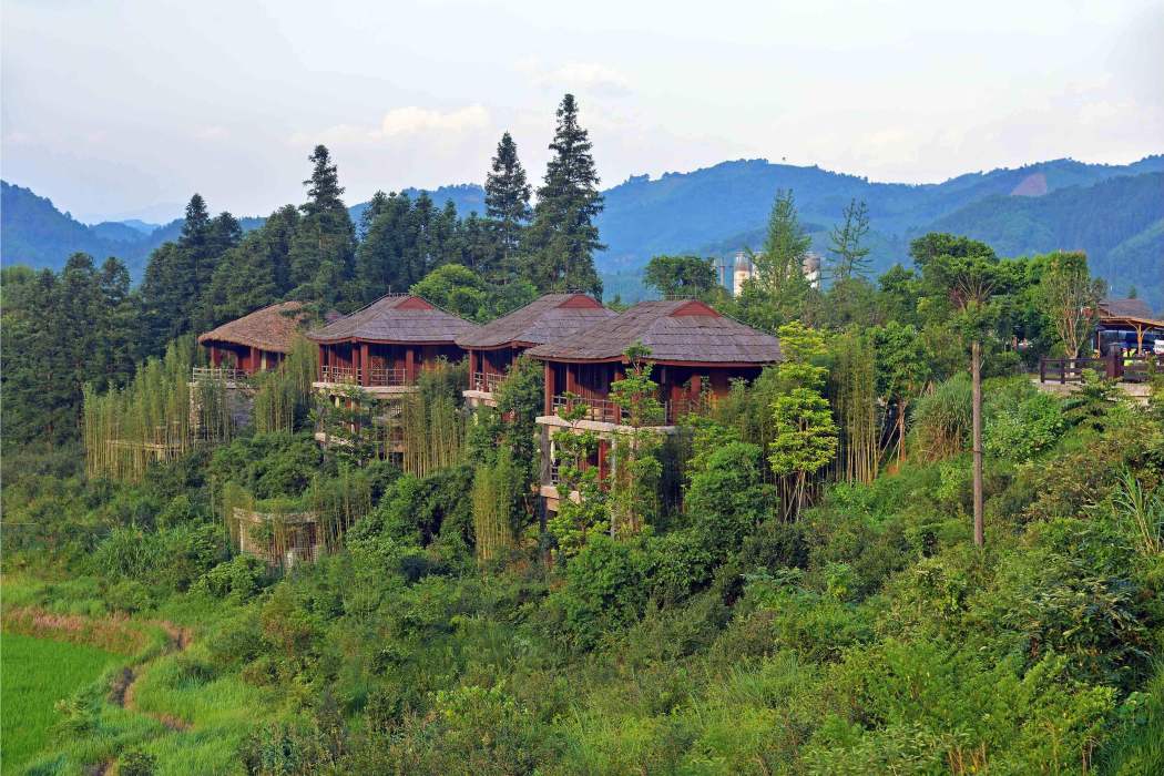 宜黃縣綠野山莊森林康養基地