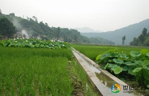 小回龍村