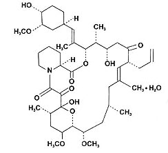 普樂可復