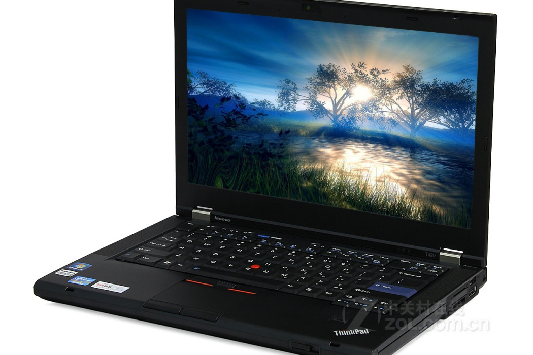 ThinkPad T420(4180N9C)