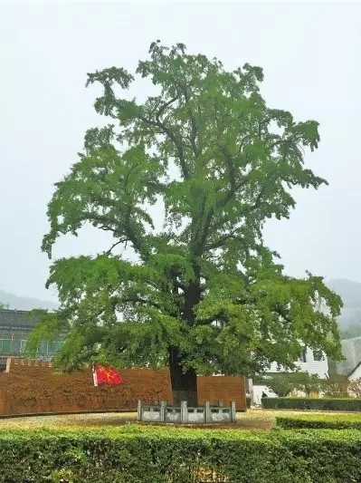 何家沖紅色旅遊區