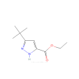 3-叔丁基-1H-吡唑-5-甲基乙酯