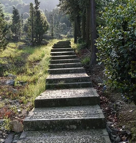 浙江奉化金峨山森林公園