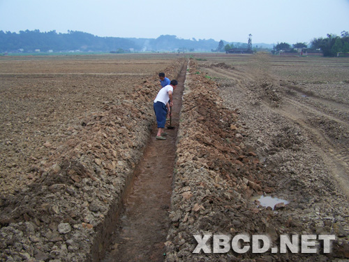 土地整理工程現場