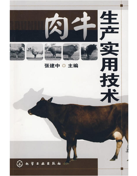 肉牛生產實用技術(2009年化學工業出版社出版的圖書)