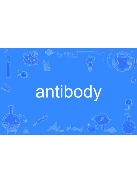 antibody