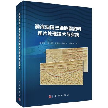 渤海油田三維地震資料連片處理技術與實踐