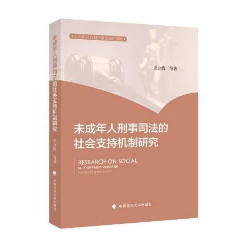 未成年人刑事司法的社會支持機制研究