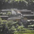 大石房村(雲南省祿勸縣翠華鎮下轄村)