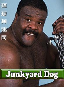 Junkyard Dog