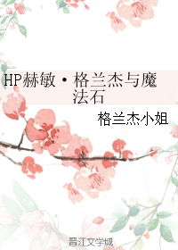 HP赫敏·格蘭傑與魔法石