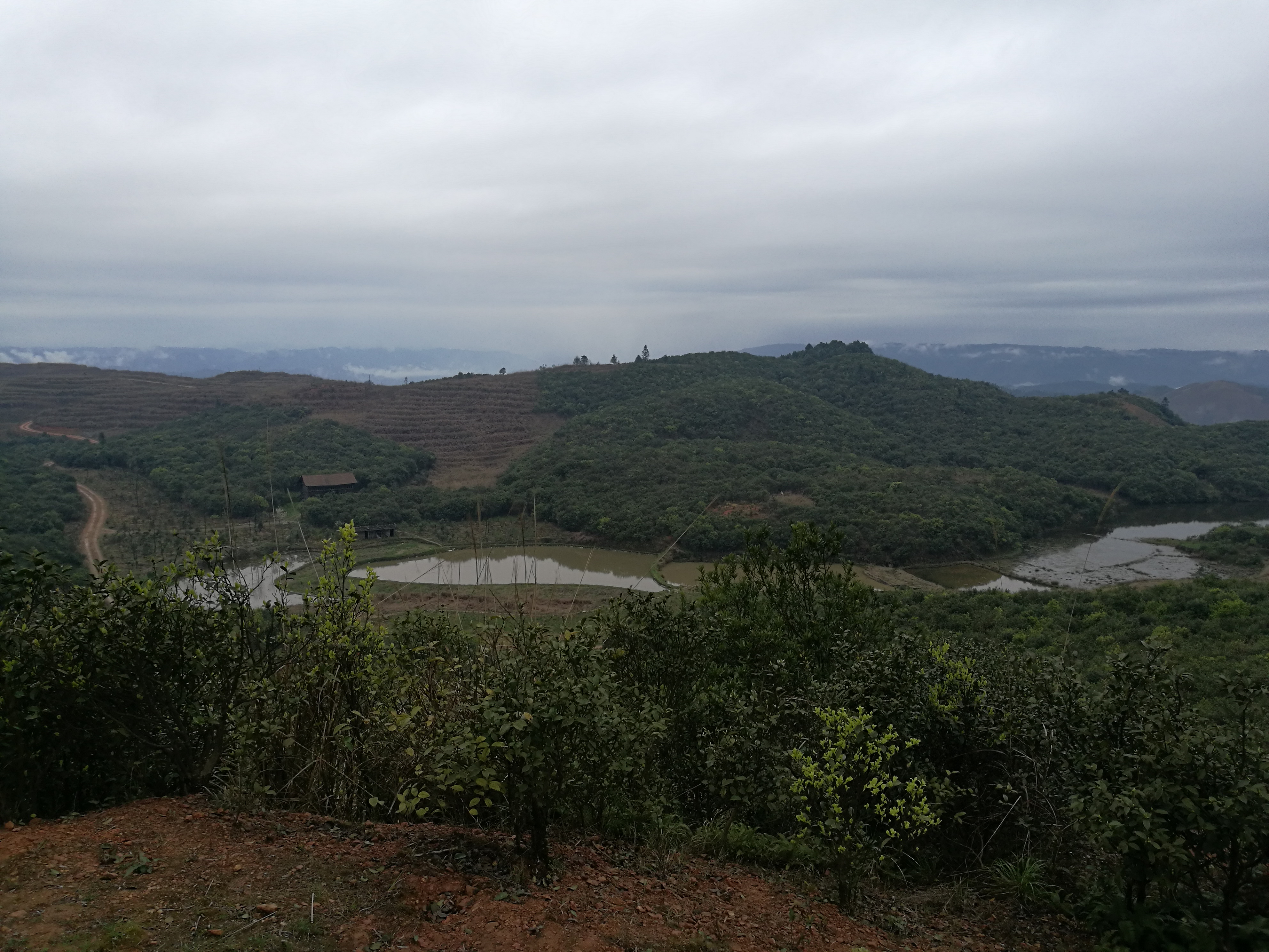 雲照村