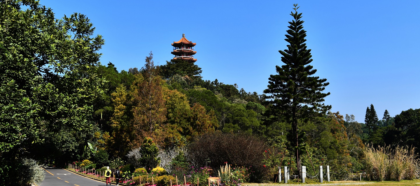 深圳市中國科學院仙湖植物園