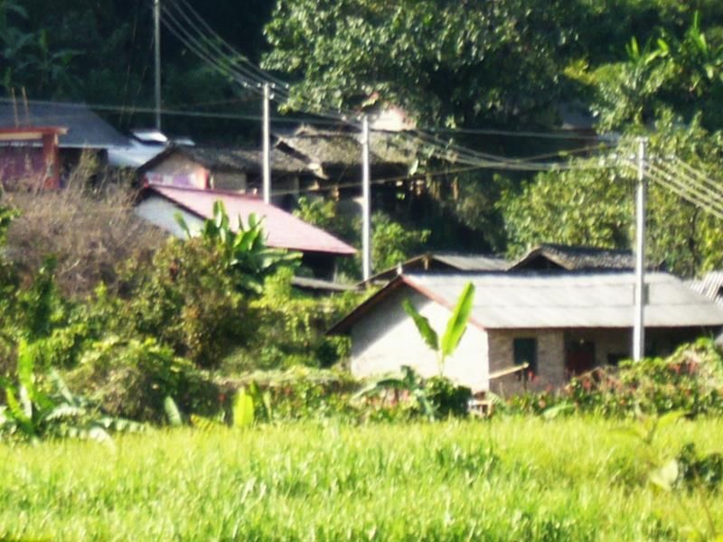 羅家田頭自然村