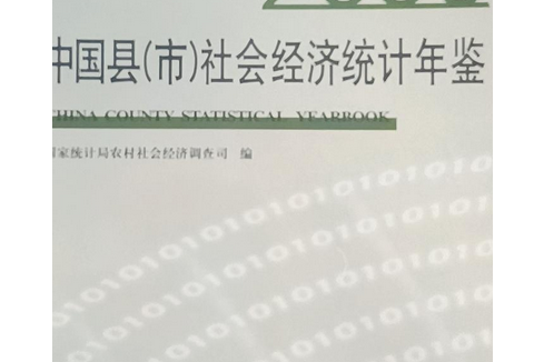 中國縣（市）社會經濟統計年鑑(2006年中國統計出版社出版的圖書)