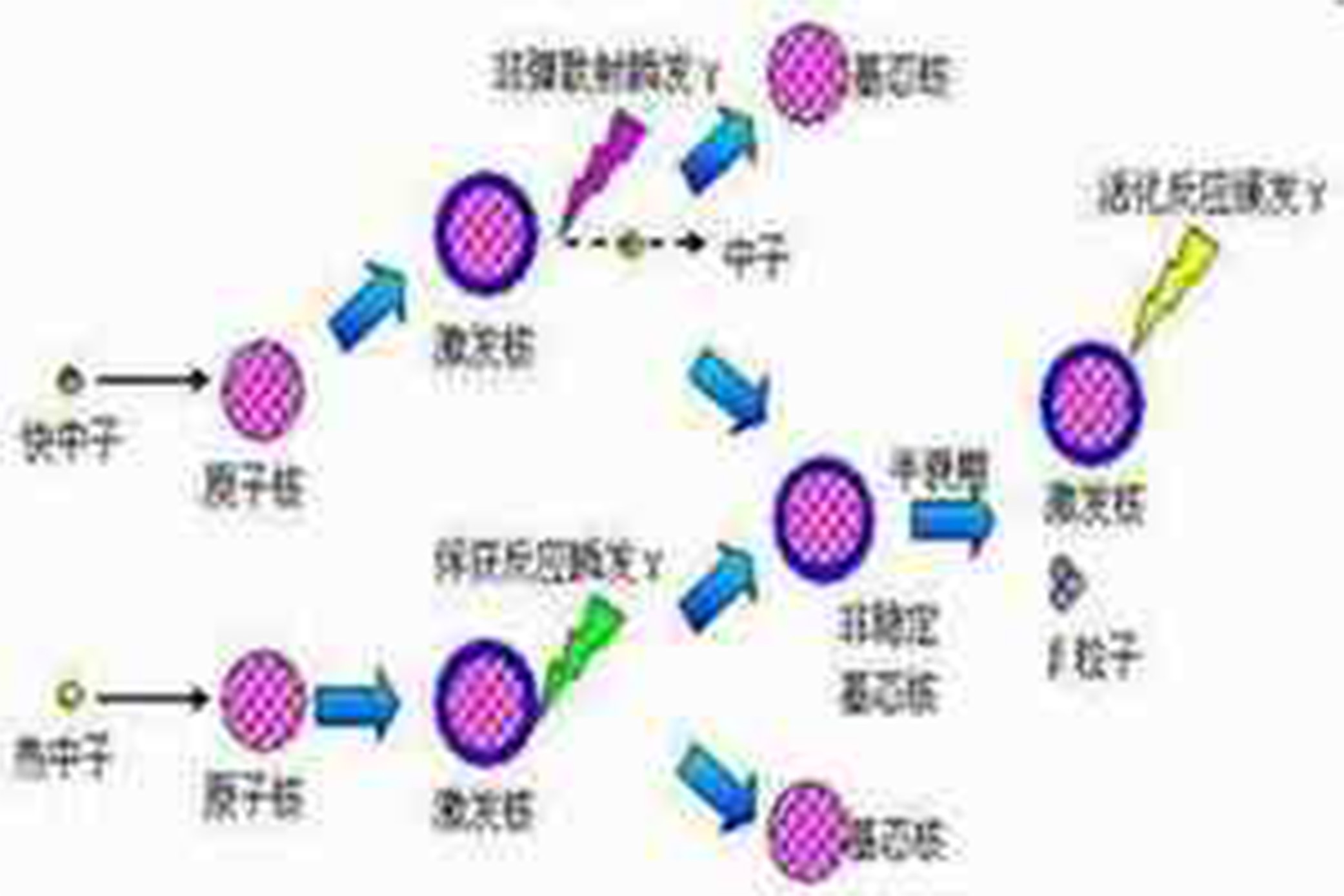 熱中子增殖