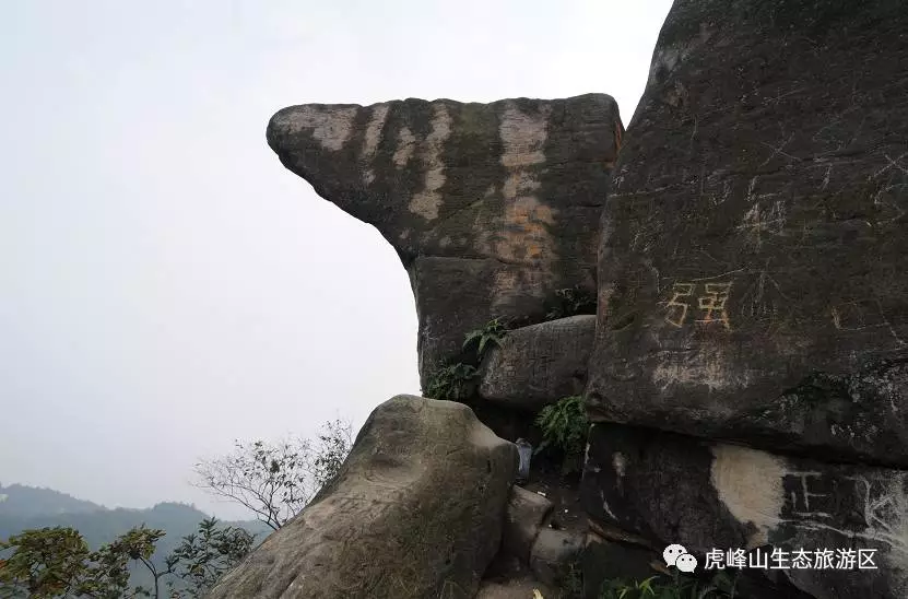 虎峰山桃花節