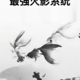 最強火影系統(玄幻奇幻類網路小說)