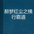 醉夢紅塵之橫行霸道