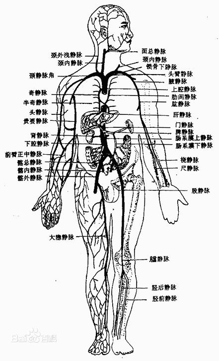 靜脈回心血量