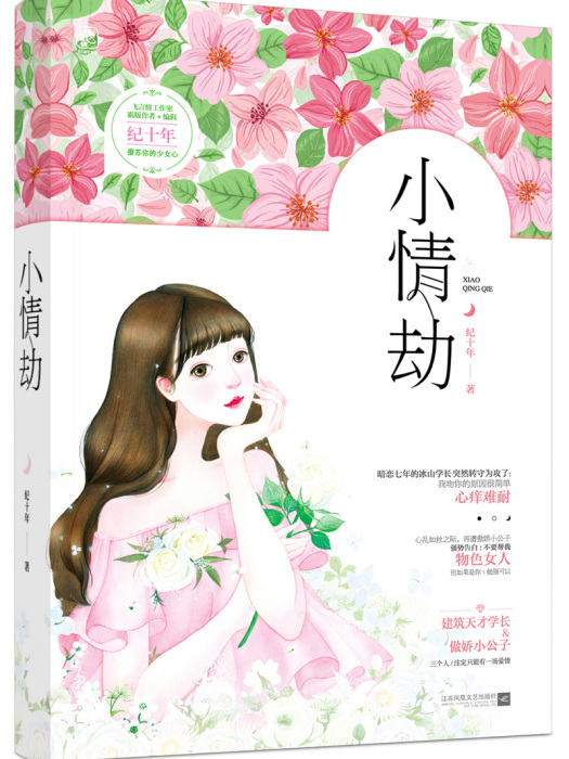 小情劫(紀十年所著的小說)