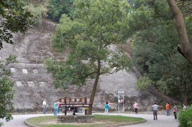 金山郊野公園