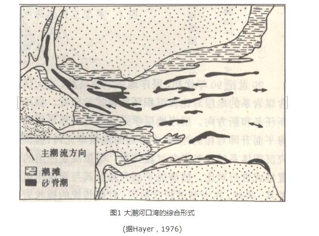 河口灣-潮灘沉積體系