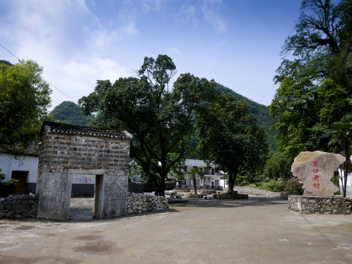 岩口村(湖南省郴州市桂陽縣舂陵江鎮下轄村)