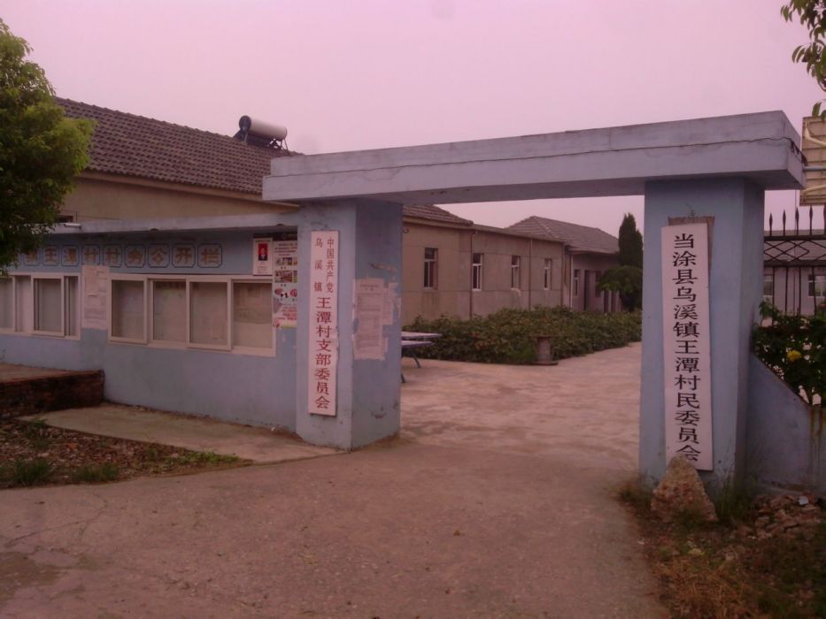 王潭村