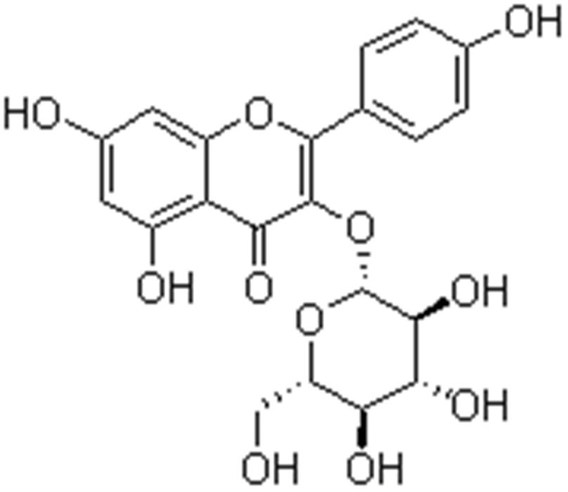 紫雲英苷