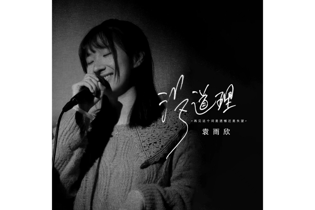 沒道理(袁雨欣演唱歌曲)