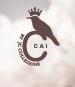 caishoes logo