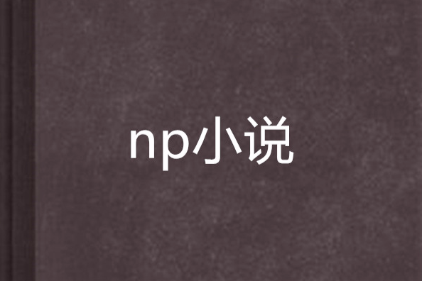 np小說