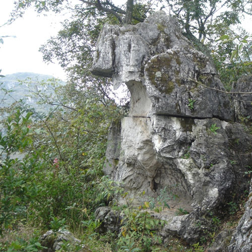 鄱陽獅子山