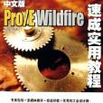 中文版Pro/E Wildfire速成實用教程