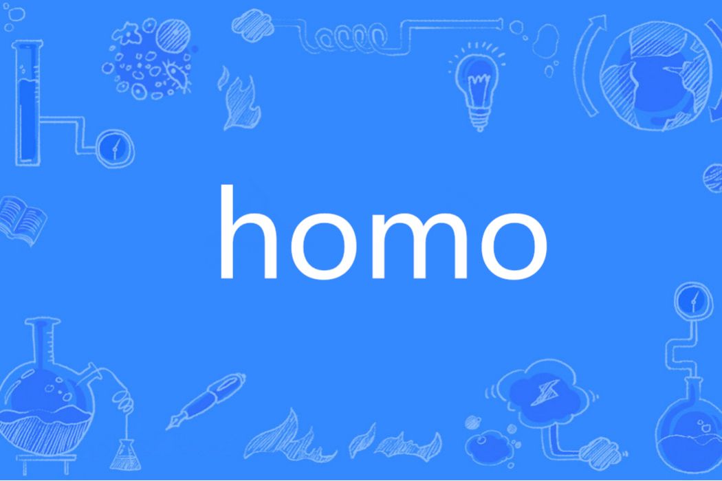 HOMO(英語單詞)