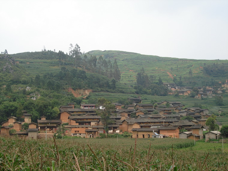 小河邊村(新平縣水塘鎮水塘村民委員會下轄村)