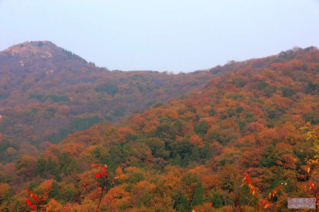 蓮青山