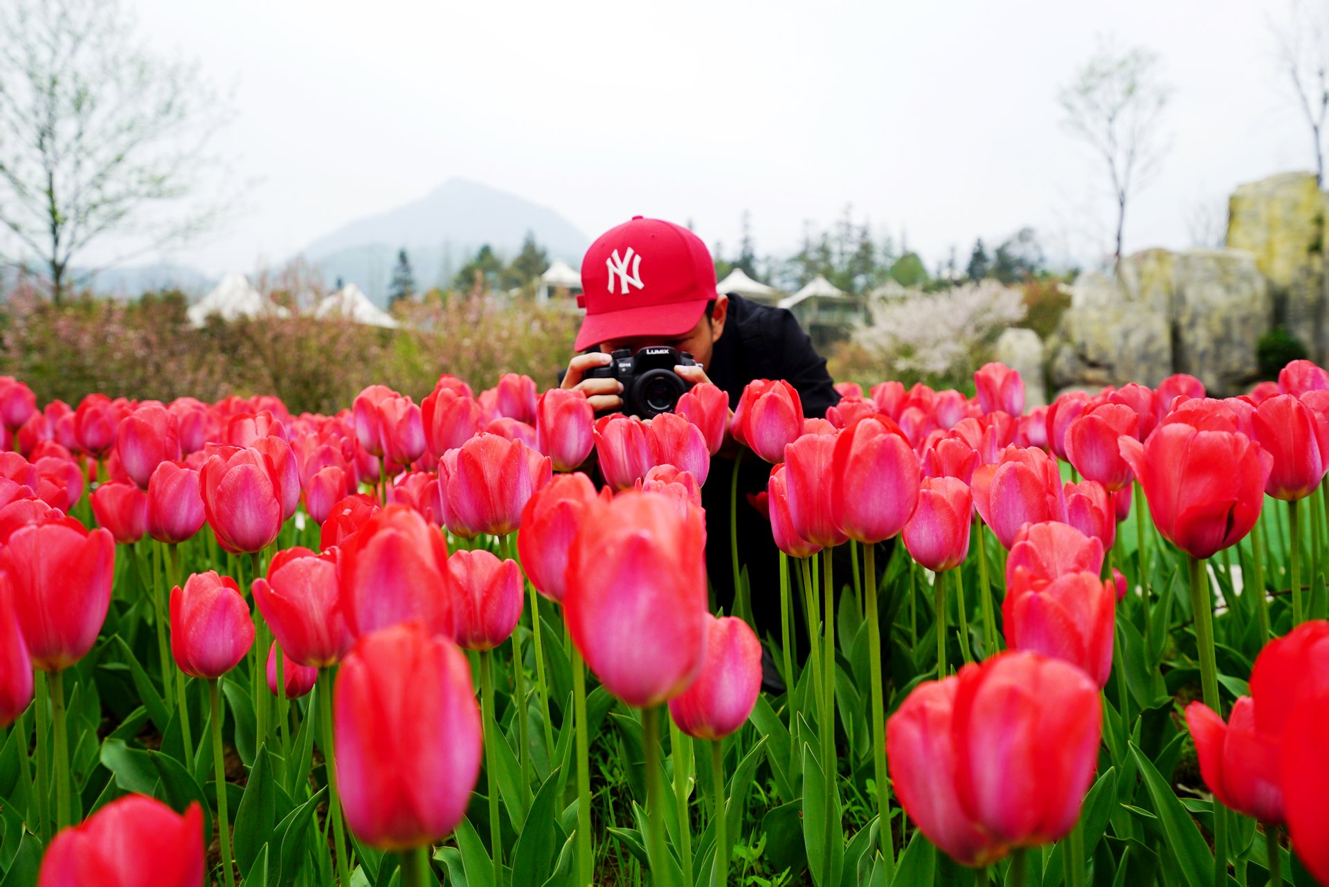 天府花溪谷