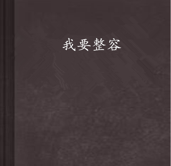 我要整容(穿越小說)