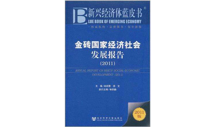 金磚國家經濟社會發展報告