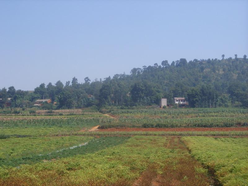 麥地山村